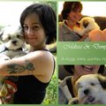 honden foto 
