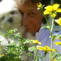 honden foto 