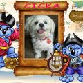 honden foto Gemaakt door Hanne, dikke knuf Hanne en thanks