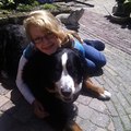 honden foto In de Zomervakantie