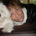 honden foto 