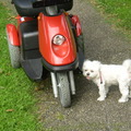 honden foto 10-09-2011

Vrouwtje kom nou, ik wil niet meer op de foto