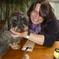 honden foto 