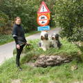 honden foto ff poseren