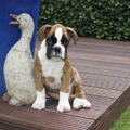 honden foto Mijn nieuwe vriend in de tuin: Ducky, de stenen eend!