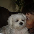 honden foto 21-09-2011

Even samen op de bank, met m,n lief, een knuffel moment