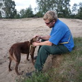 honden foto 