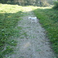 honden foto 28-09-2011

VROUWTJE WAAROM MAG IK NIET LOS, NEE CHICKA WE KWAMEN WEL EEN 100 DODE KONIJNEN TEGEN, VROUWTJE DURFDE HET NIET AAN, JE LOS TE LATEN