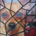 honden foto 
