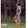 honden foto Moesten soms lang wachten.Dat is met 2 honden niet leuk.