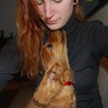 honden foto Clovis geeft baasje een zoentje