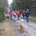 honden foto Vos met de Hp wandeling 18-3-12