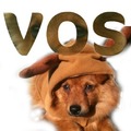 honden foto Vos