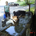 honden foto Even drink pauze hoor.