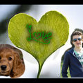 honden foto 