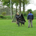honden foto 