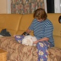 honden foto 