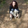honden foto 