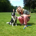 honden foto 