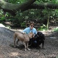 honden foto Axa en Tyson