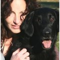 honden foto 