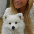honden foto kleine flynn :)