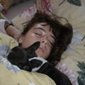 honden foto Ik geniet van het leven.