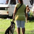 honden foto 