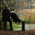 honden foto samen op het bankje..