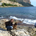 honden foto 