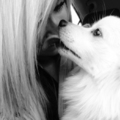 honden foto 