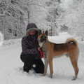honden foto 