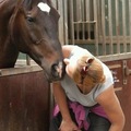 honden foto 