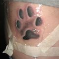 honden foto Tattoo Bailey zijn pootafdruk