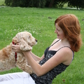 honden foto 