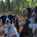 honden foto En het verliefde stelletje weer.