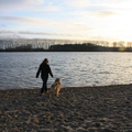 honden foto Samen bij slijk-ewijk @ 39 weken