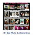 honden foto ENTER BEST DOG PIC
before feb.15
WIN a PRIZE!!!
send to hollywoodhondentrimmer@gmail.com