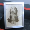 honden foto In een eenvoudig lijstje ziet zo'n gravure er meteen goed uit 