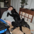 honden foto Ik kan dan wel loops zijn maar mijn avondkroeltje moet toch doorgaan.
