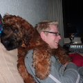 honden foto 