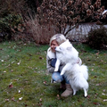 honden foto 