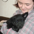 honden foto ik met mijn kleine meisje...