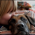 honden foto 