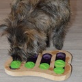 honden foto Schuiven voor een snoepje