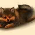 honden foto Een digitaal tekeningetje van Pom. Ik heb nog wat moeite met de achtergrond, misschien voeg ik later nog een betere toe. 
Pom is hier ongeveer 9 weekjes. 