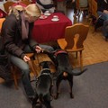honden foto Hee daar zit ook een hond