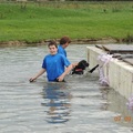 honden foto dogsurvival