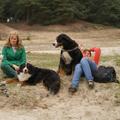 honden foto Zitten in het zand