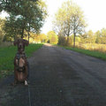 honden foto Vanmiddag even lekker naar het Natuurpark geweest, heel veel gerend, was leuk :)